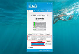 电脑蓝屏了怎么安装系统