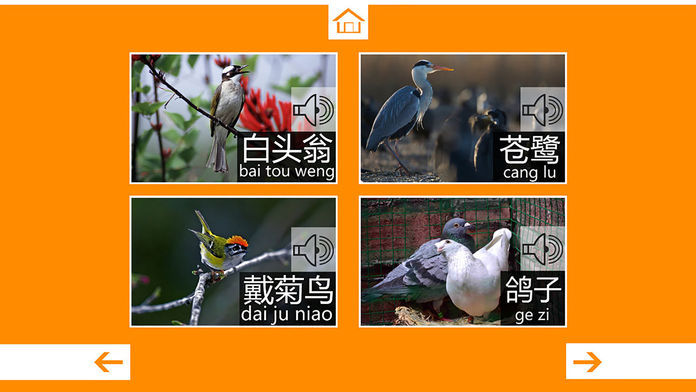 动物叫声最新版