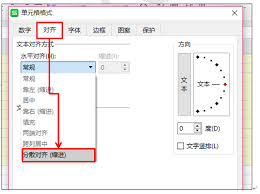 WPS文字中四种对齐方式有哪些效果展现