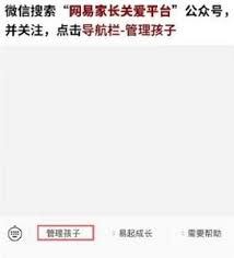 网易游戏禁止充值怎么打开