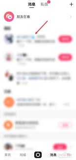 快手删除私信后对方能否看到