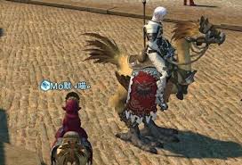 FF14中如何获取陆行鸟
