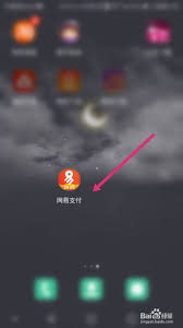 网易支付如何开启人脸识别