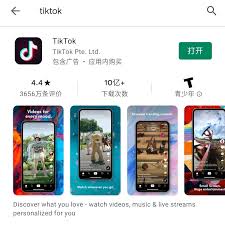 国内如何下载tiktok
