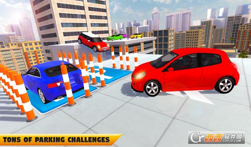 真正的停车大师