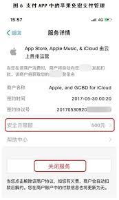 星图金融免密支付额度怎么设置