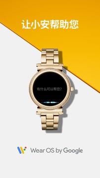 Wear OS by Google