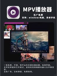 2025年无广告播放器排行榜有哪些