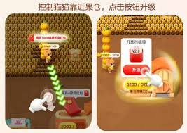 双十一喵果总动员一天能助力几次