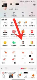 淘宝总消费账单在哪查看