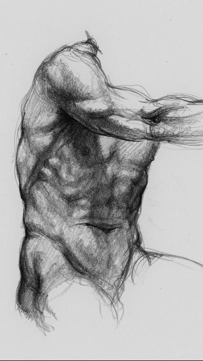 艺术家之3d解剖图