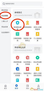 河北人社如何查询养老金