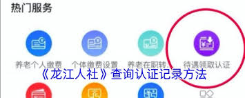 龙江人社如何查询认证记录