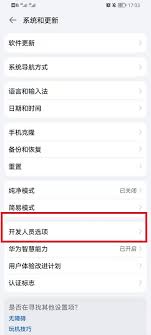 鸿蒙系统开发者选项在哪